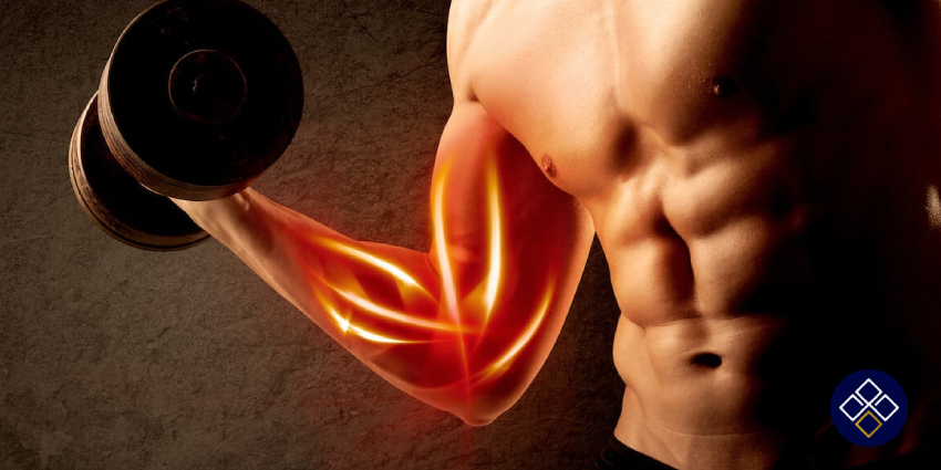 نقش تغذیه در کاهش زمان ریکاوری